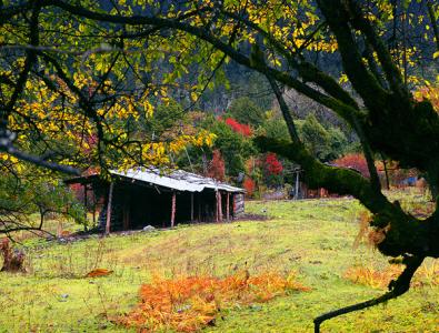 林芝阿里環(huán)線旅游汽車租賃.包車.(圖文)